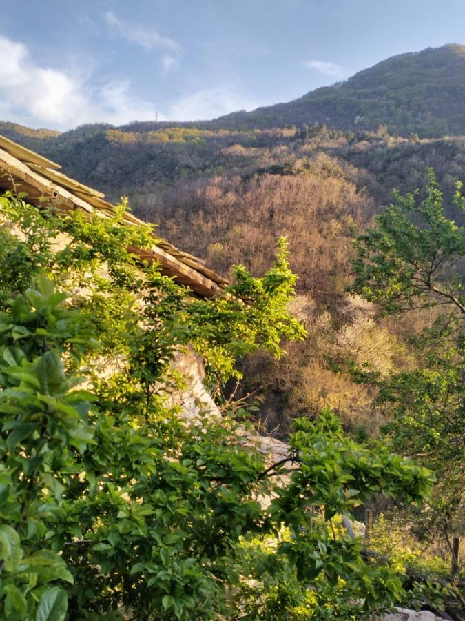Medieval Village B&B Ne Dış mekan fotoğraf
