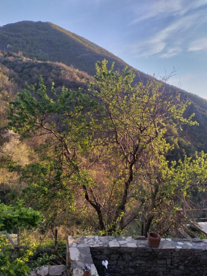 Medieval Village B&B Ne Dış mekan fotoğraf